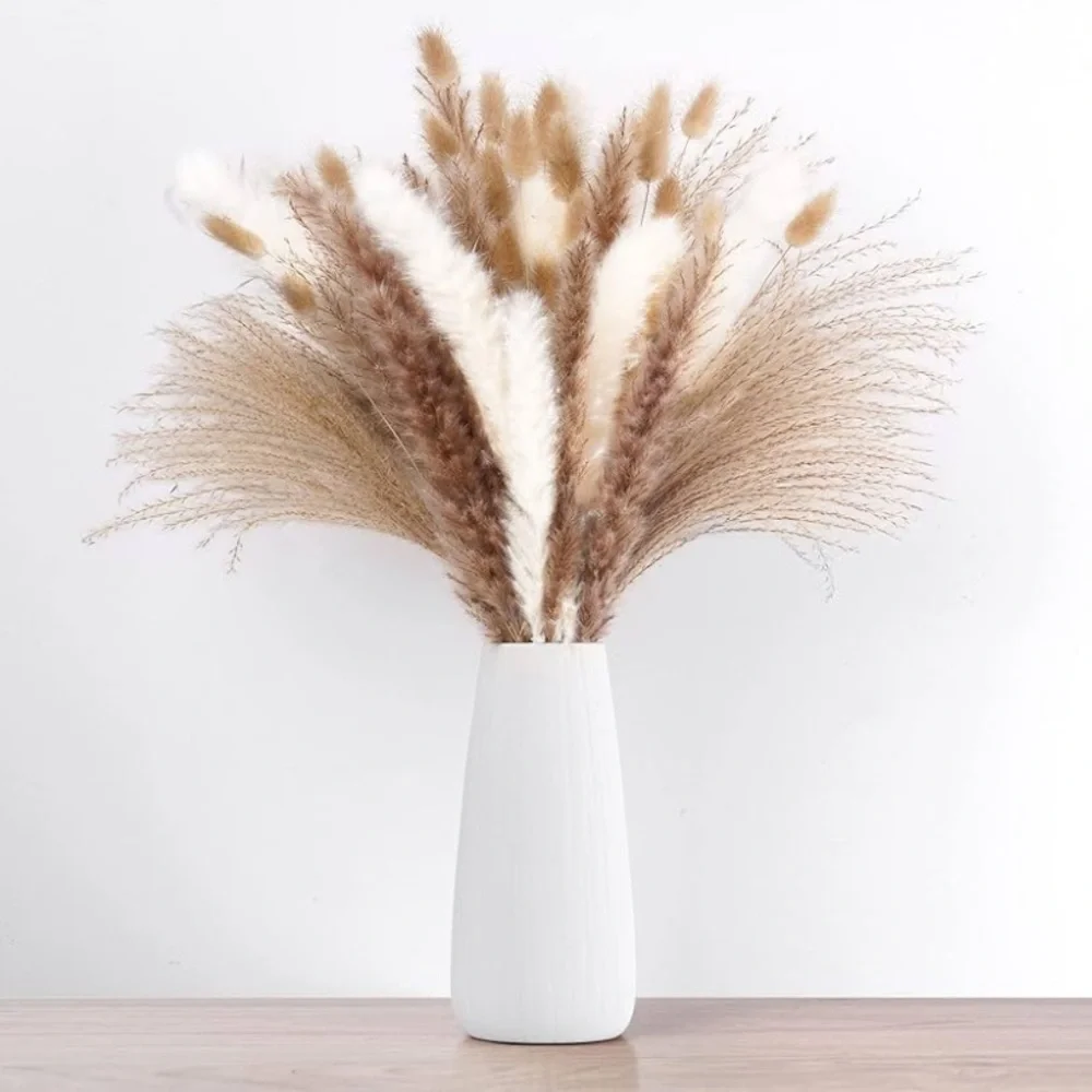 Pampas Grass NIB